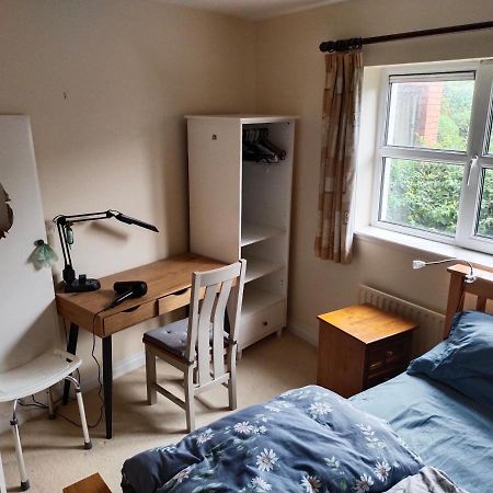 Crescent Apartments Homestay Корк Екстер'єр фото