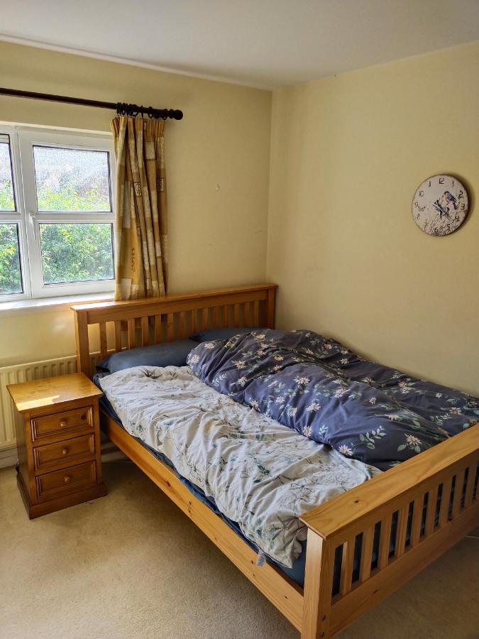 Crescent Apartments Homestay Корк Екстер'єр фото